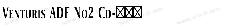 Venturis ADF No2 Cd字体转换 Venturis ADF No2 Cd字体转换